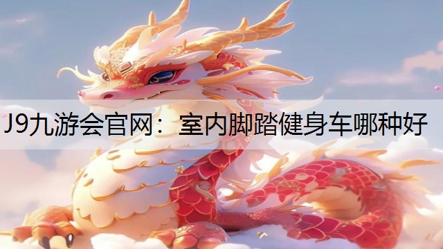 J9九游会官网：室内脚踏健身车哪种好