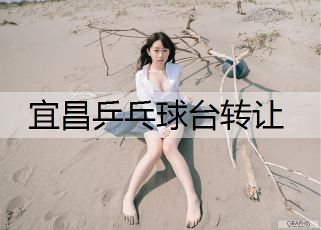 宜昌乒乓球台转让