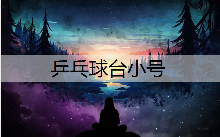 乒乓球台小号