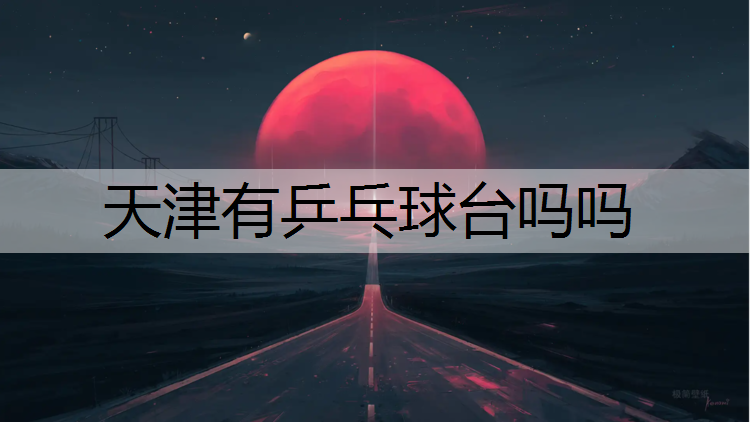 天津有乒乓球台吗吗