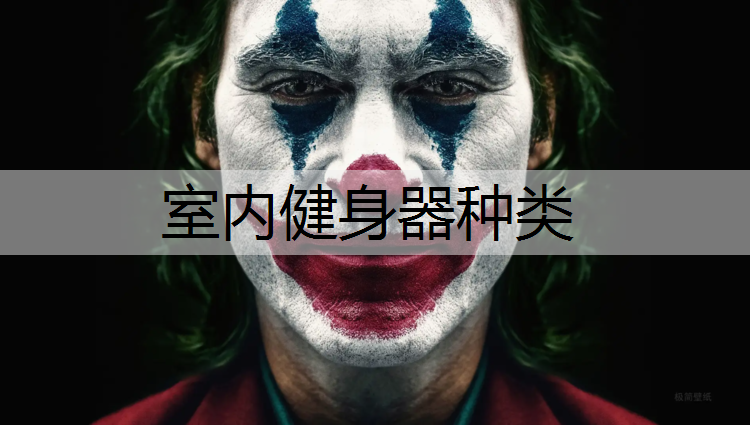 室内健身器种类
