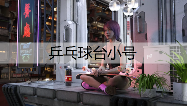 乒乓球台小号