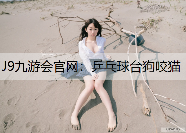 乒乓球台狗咬猫