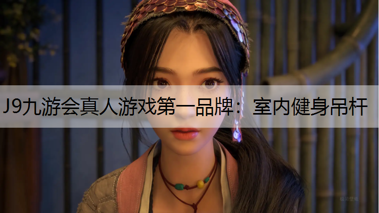 室内健身吊杆
