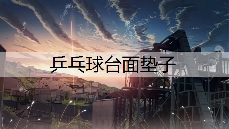 乒乓球台面垫子