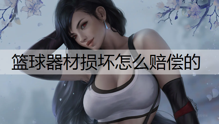 篮球器材损坏怎么赔偿的